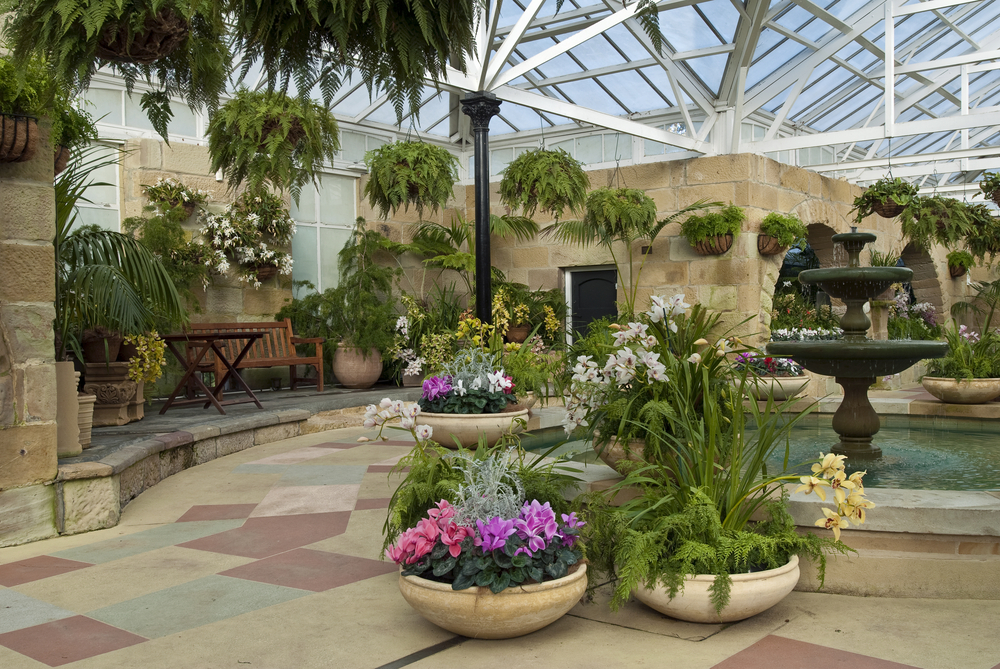 Benefits of Water Features in the Home