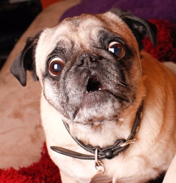 8 Hilarious Reactions to Your Best Friend Getting Engaged