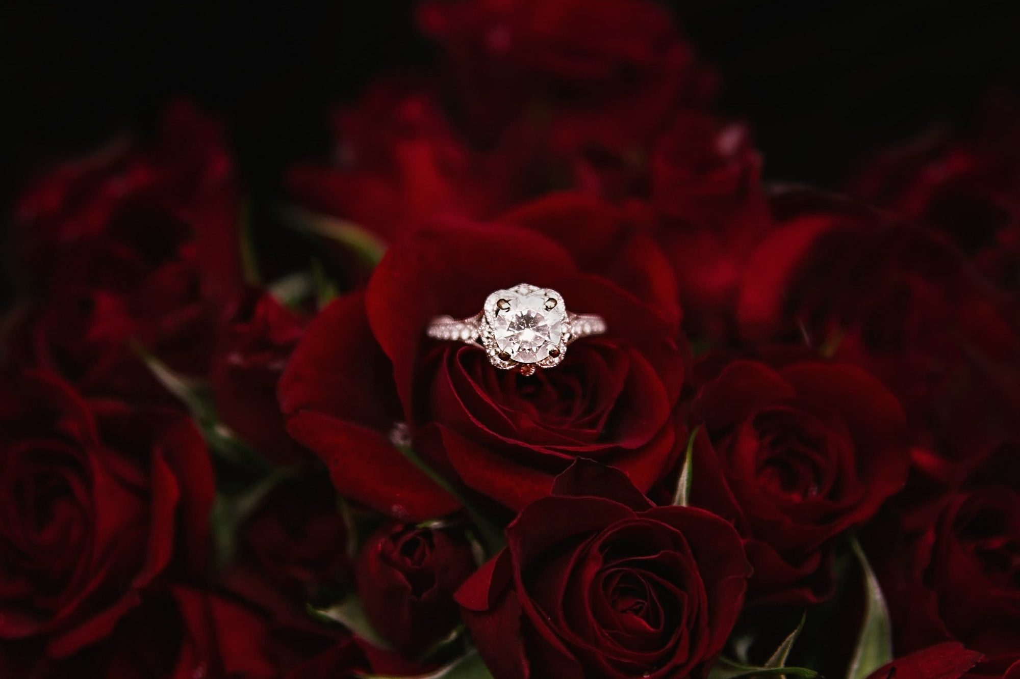 Finding the Perfect Diamond Engagement Ring