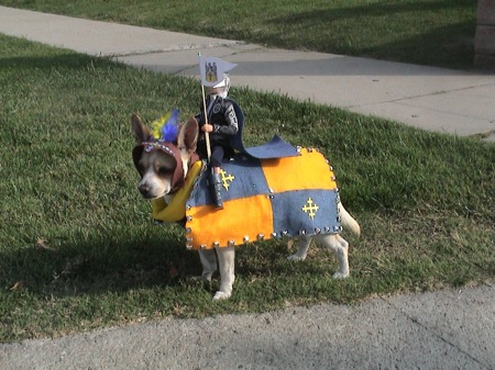 13 Animals in Better Halloween Costumes Than You