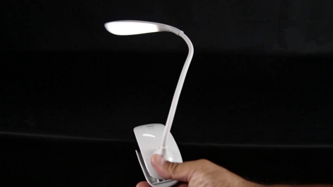 Any Game Is Better with These Beautiful Fans