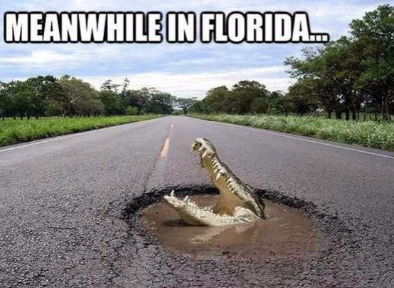 WTF Florida: Parents Get into Mega Brawl at Chuck E. Cheese