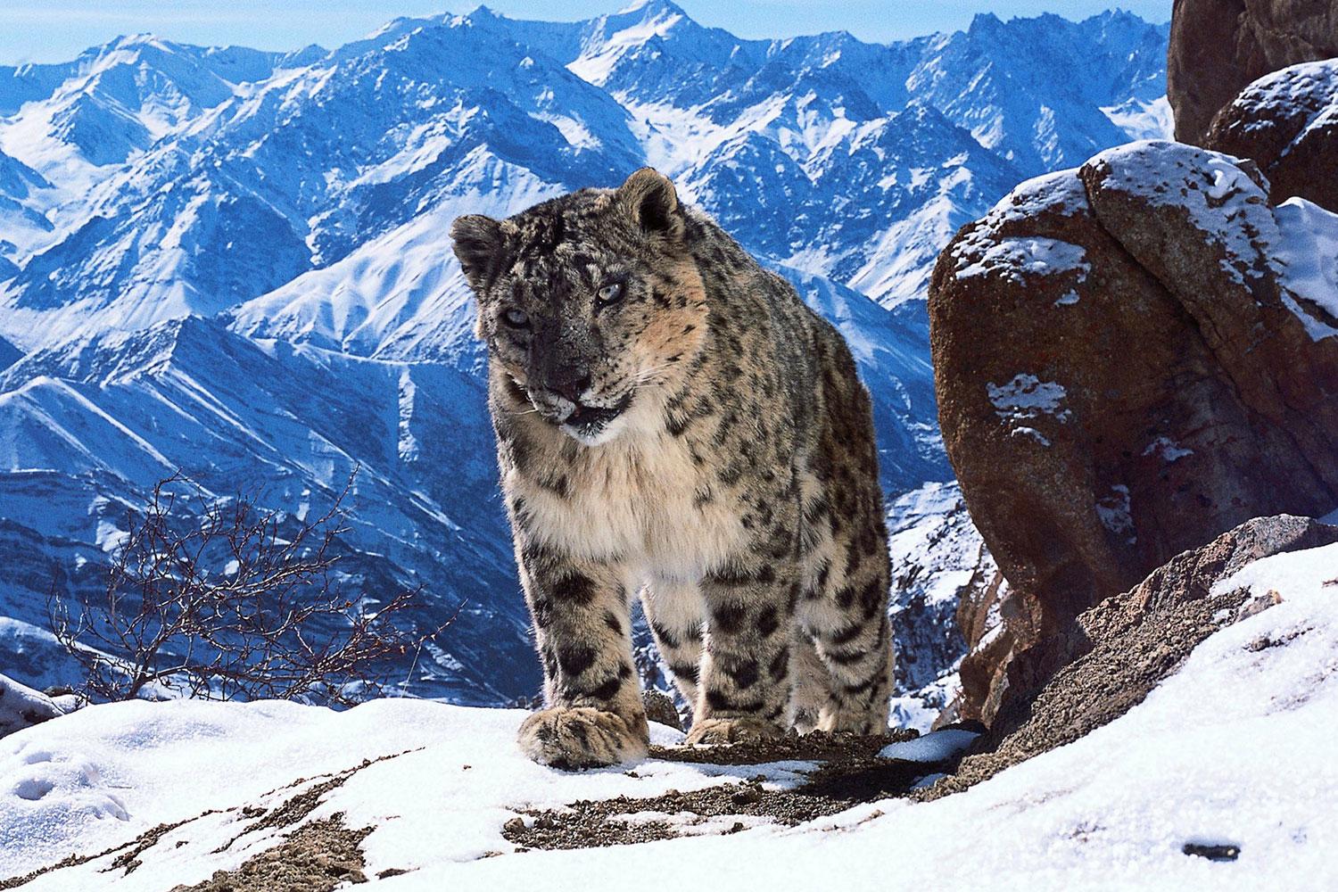 Are You Prepared for an Adventure?