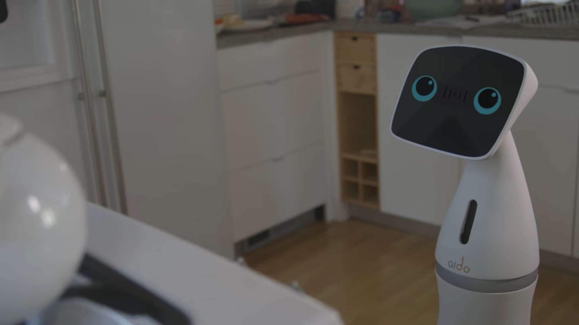 Discover Cutting-edge Family Robot Named Aido